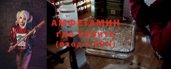 шишки Пестово