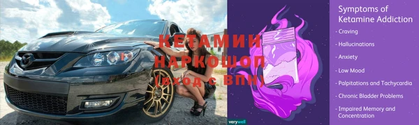 шишки Пестово