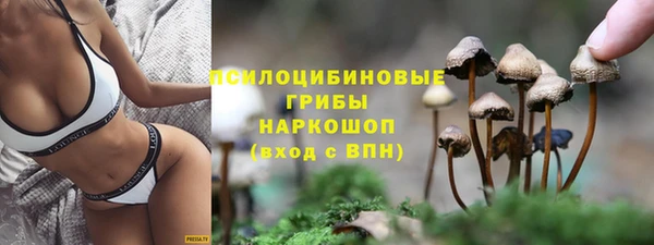 шишки Пестово