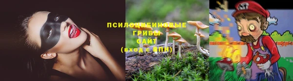 сатива Ленинск-Кузнецкий