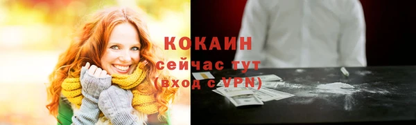 сатива Ленинск-Кузнецкий
