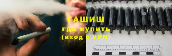 шишки Пестово