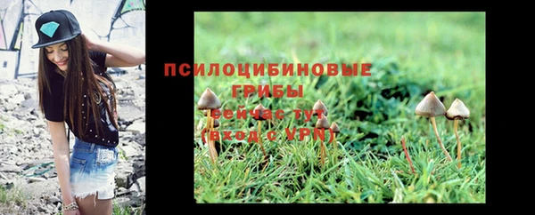 шишки Пестово