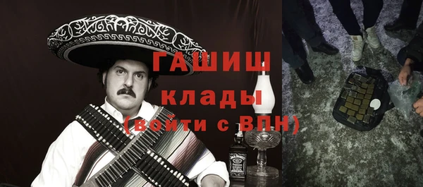 шишки Пестово