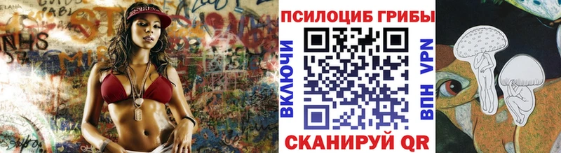 закладки Салаир Псилоцибиновые грибы Psilocybe