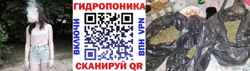 даркнет сайт  Салаир  МАРИХУАНА SATIVA & INDICA 